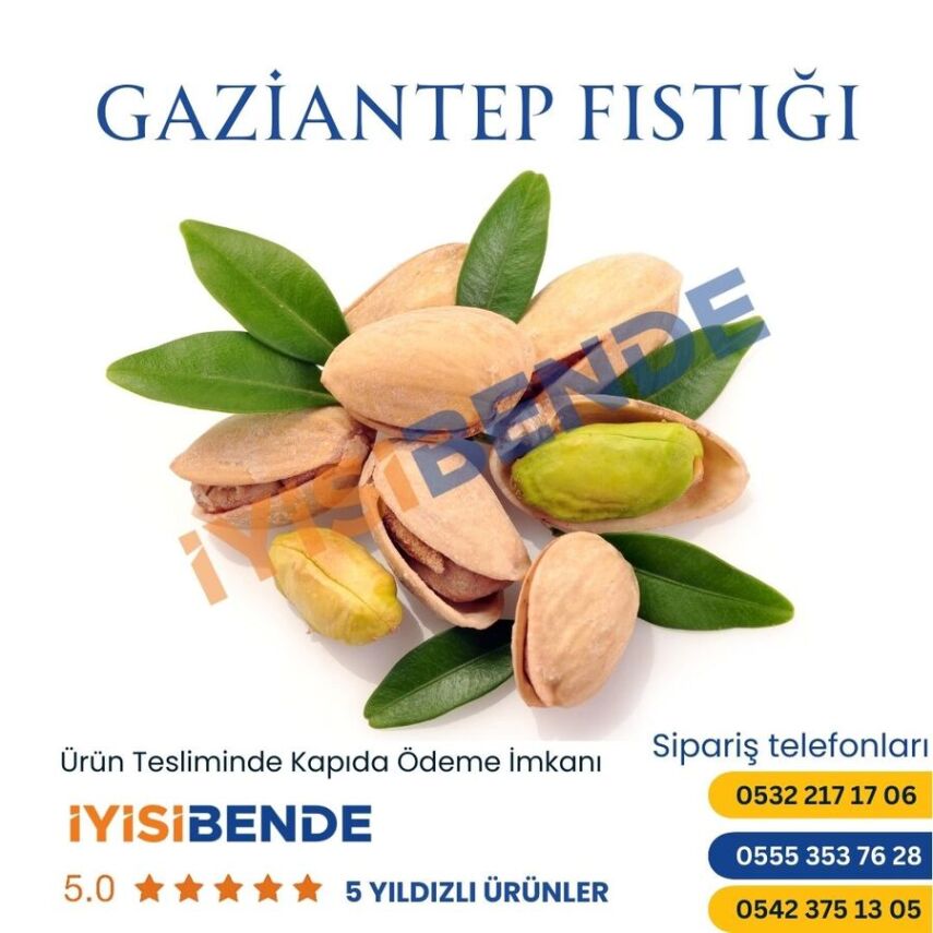 Gaziantep Fıstığı - 1